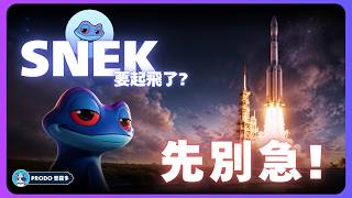 SNEK要起飛了？先別急！