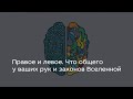 Правое и левое. Что общего у ваших рук и законов Вселенной