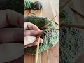 Reversible Hemisphere Hat #knitting #yarn #knit #handmade