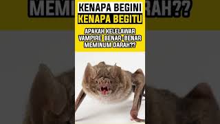 Apakah Kelelawar Vampire Benar benar Meminum Darah?? #Shorts