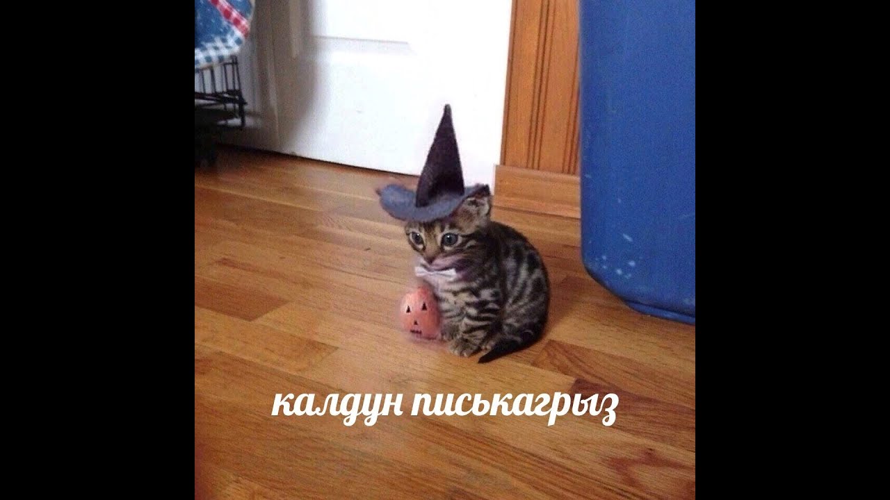 юный ютубер pt.2