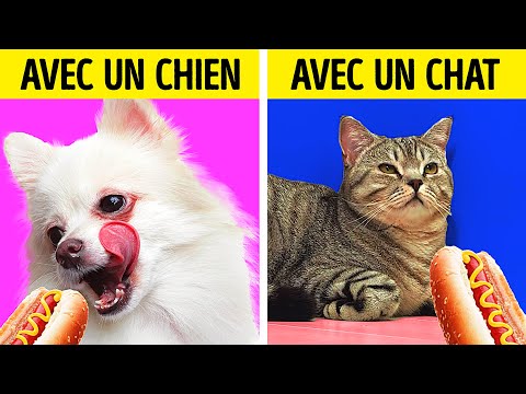 LA VIE AVEC UN CHIEN VS LA VIE AVEC UN CHAT || 27 ASTUCES INCROYABLES POUR LES ANIMAUX LA VIE AVEC UN CHIEN VS LA VIE AVEC UN CHAT || 27 ASTUCES INCROYABLES POUR LES ANIMAUX