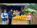 Mai harvested delicious pomelos and took them to sell - Bring water into the tank for household use.