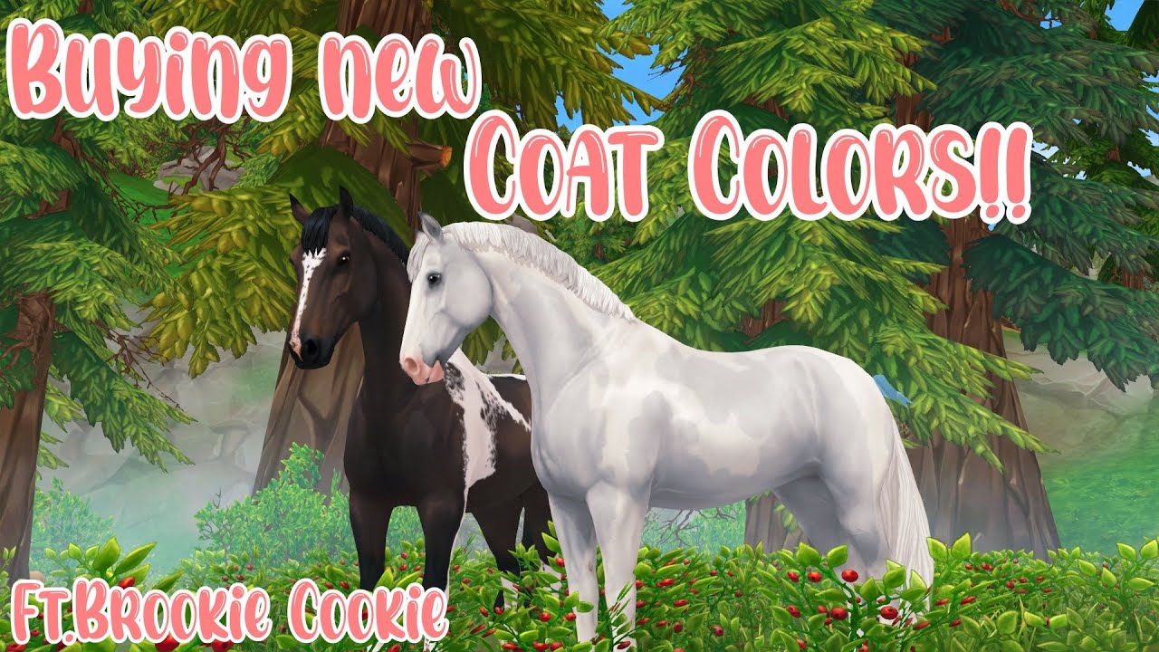 Buying new coat colors!