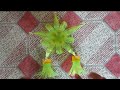 Making Christmas Star Lantern No. 4 Using Recycling Plastic Soda Bottle