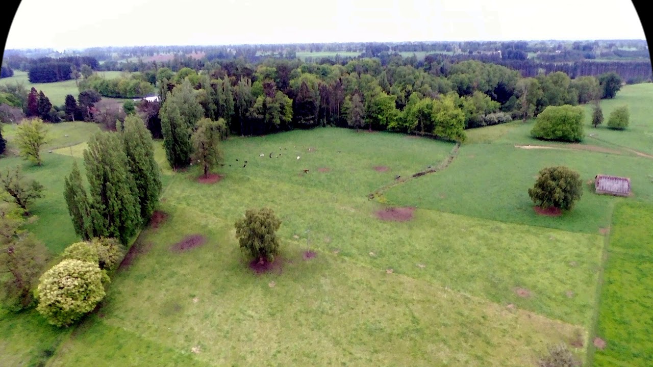 fundo en osorno casa de lata