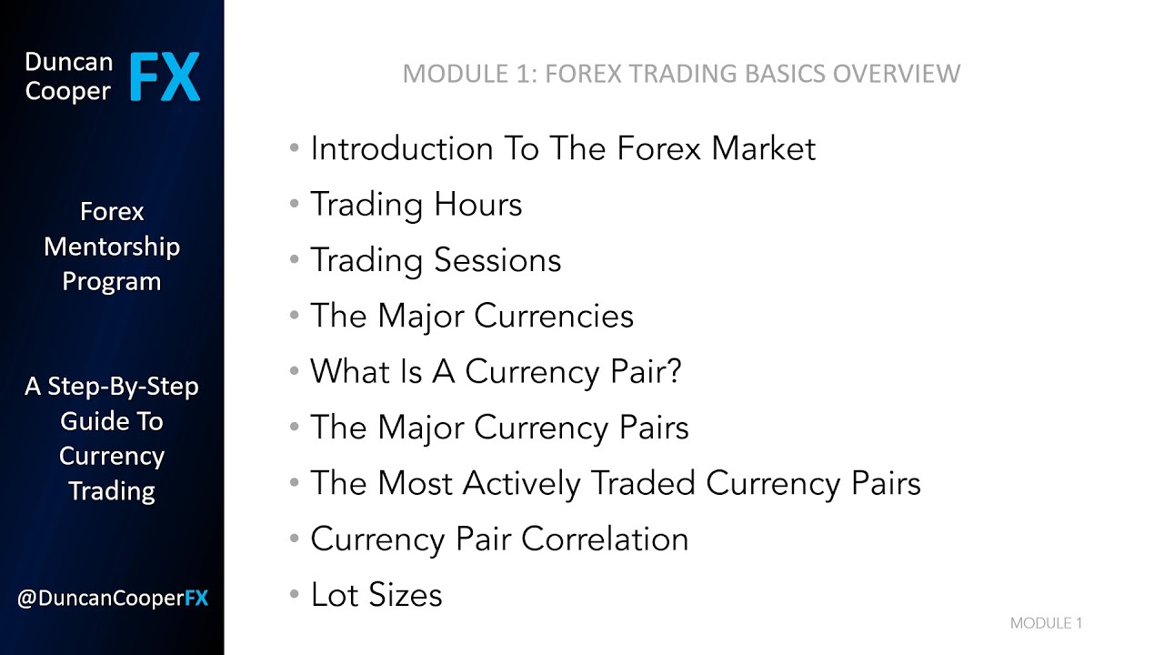 Overview | Forex Trading For Beginners | Step By Step Guide | Tutorial ...