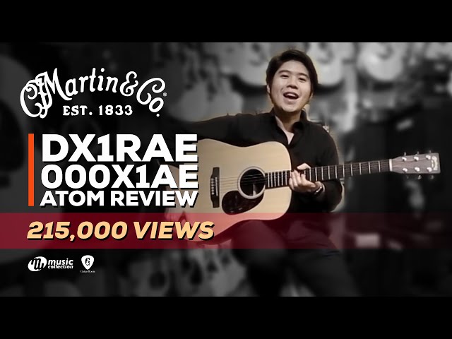 h*6様 Martin マーティン DX1RAE【ボディ割れ有】 Martin DX1RAE | Discontinued | Martin Guitar