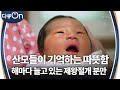 해마다 늘고 있는 우리나라 제왕절개 분만율 [다큐ON-Docu ON] | KBS 250712 방송