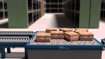 Celluveyor Applicability - Palletizing Infeed System