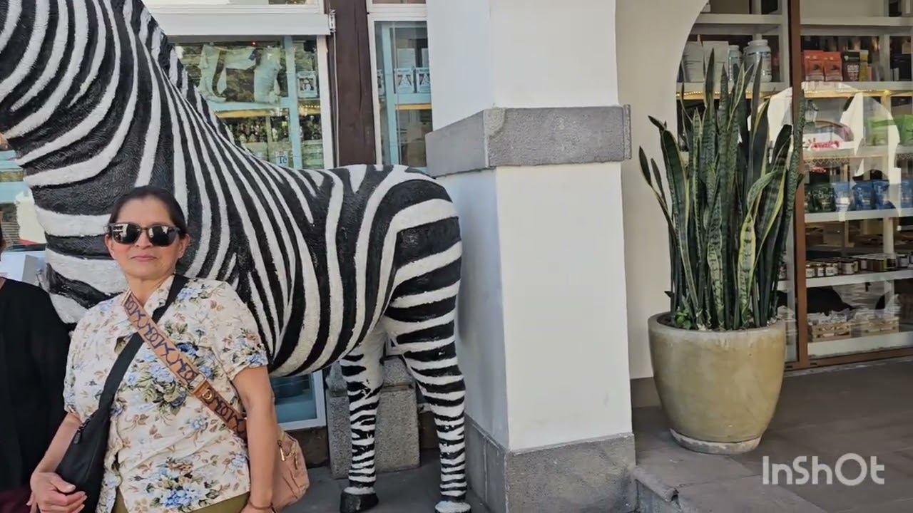 Ciudad de cayala. 2/20/26