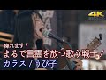 【 衝撃 】言霊を放つ歌う戦士とさえ思えるアーティスト!  " うぴ子 " オリジナル曲「 カラス 」 横須賀路上ライブ(横須賀ジャズロックフェスティバル) 🎧推奨 高音質4K映像