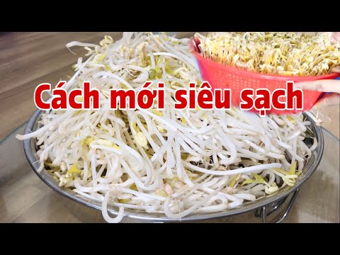 Cách làm Giá mới không lót khăn siêu sạch nhanh ăn thành công 100% .