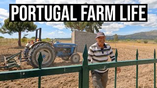 Will this help to beat the extreme drought? | PORTUGAL FARM LIFE