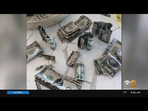 N.J. homeowner finds buried cash