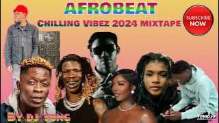 LATEST AFROBEAT CHILLING VIBEZ 2024 BY DJ YUNG