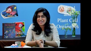 Animal and plant cell organelles | English