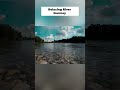 Serene River Flow Nature's Peaceful Escape Video