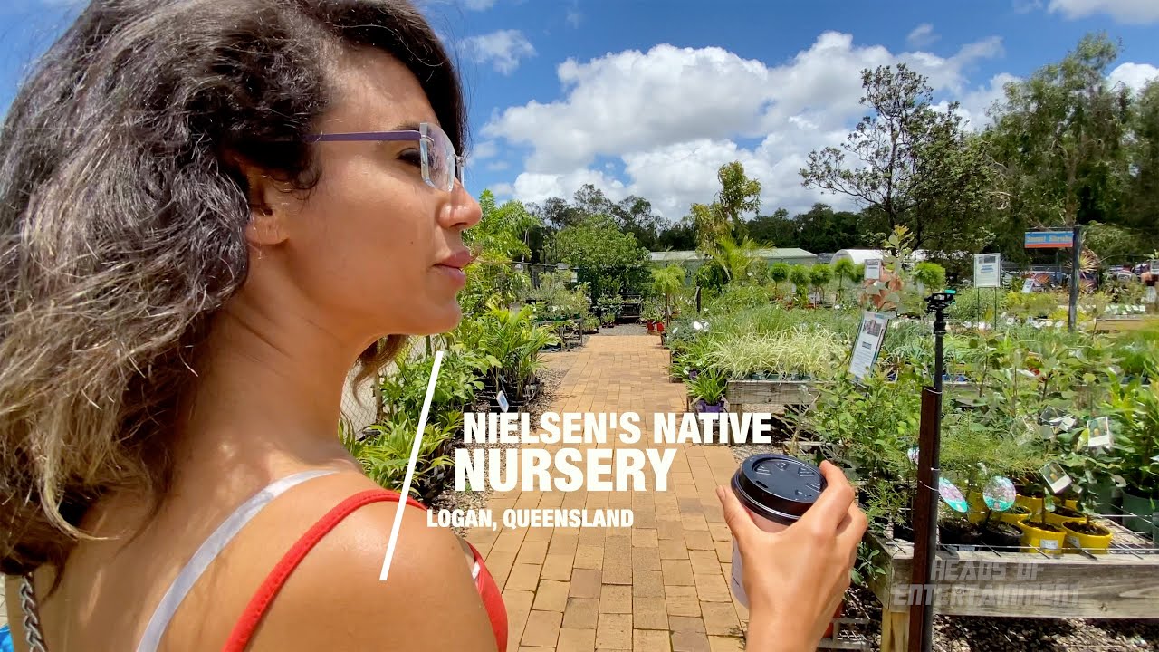 A Walk Through Nielsen's Native Nursery Beautiful Plants and Palms in