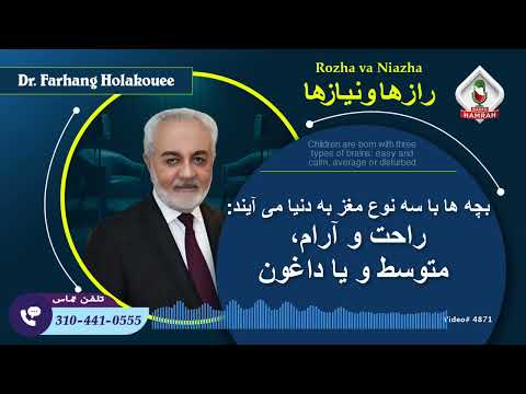 بچه ها با سه نوع مغز به دنیا می آیند راحت و آرام متوسط و یا داغون 