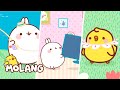 Momentos mais engraçados 🐰🐥 Molang | Cry Babies e Amigos em português | Animação | Coleção
