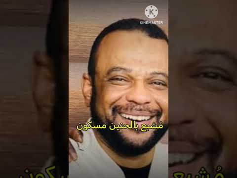 وليد زاكي الدين هاك أفرح كلمات أبايزيد عبد الرازق د ج ألحان هاني محمد حسن تنفيذ ممي استديو جدو 2025