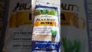 Jonathan Green Black Beauty Ultra Grass Seed | Thick, Green Cool Season Lawn