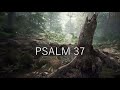 PSALM 37 / Lebenslehre eines Weisen
