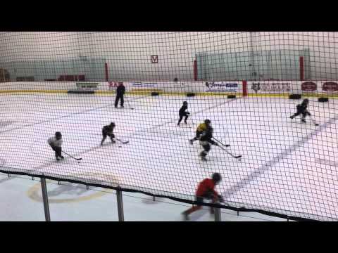 ლაზარე ხოკეის ვარჯიშზე