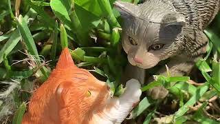 A Cat Story //Part 4// Wealth