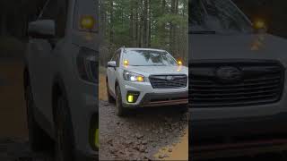subaru struggle. forester takes 4x4 trail for the first time