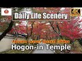 &quot;Hogon-in Temple in Autumn Colors&quot;  紅葉の宝厳院【4K】AUTUMN LEAVES SPECIAL EDITION