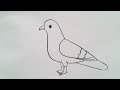 How to draw pigeon drawing easy stepbystepaarav drawing creative