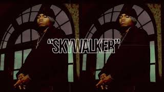 [FREE] Old School Nas x Biggie Smalls Type Beat [2020] 90s Boom Bap Type Beat - "SKYWALKER"