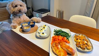 Dog Friendly Thanksgiving Meal 🦃 // f1b mini goldendoodle // dog friendly recipes