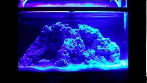 LED Sunrise/Set - 1st Run - Arduino Controlled