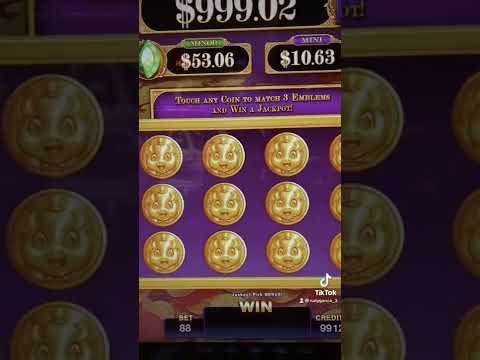This NEW Slot Machine Bonus Had My Wife Freaking Out!