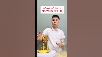 Khám phá Đồng Hồ Úp Ly Đức - Cót 400 Ngày Độc Đáo