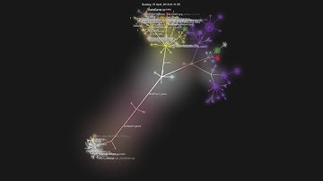 WolfPatch git vizualization