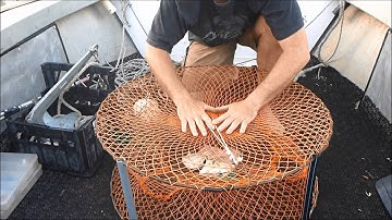 HOW TO CATCH MUD CRABS | Using crab traps and the best tides to set them for more Mud Crabs.