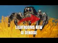 Adobe Lightrooms new AI Denoise | is it any good?