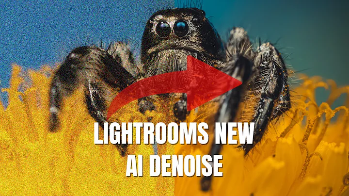 Revolutionizing Noise Reduction: Adobe's Denoise AI