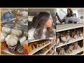 Vamos a Michaels | Llego el Otoño a HomeGoods | Nuevo cambio en mi cabello