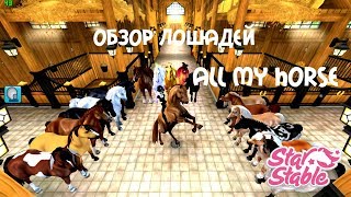 Sso//All My Horses (Чит. Описание)