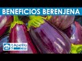 8 Propiedades y Beneficios de la Berenjena | QueApetito