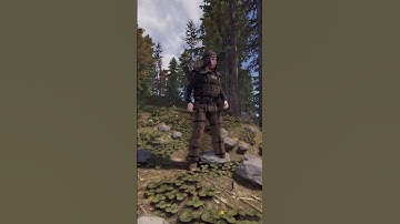 Rust documentary on the door camper #shorts