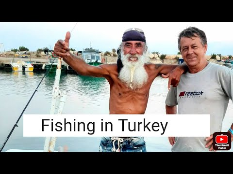 Рыбалка в Турции. Кефаль. Необычная снасть.