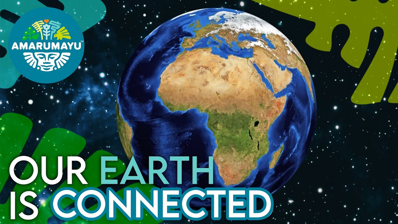 Discover how our EARTH is CONNECTED 🌏  | AMARUMAYU Community