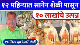 Sanen Goat Farming Success story | Goat Business | सानेन शेळी पासून १० लाखांचे उत्पन्न | शेळी पालन