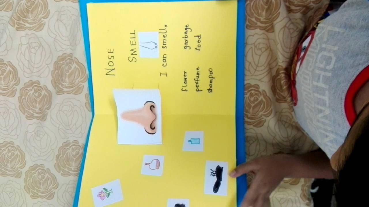 My five senses pop up book - YouTube